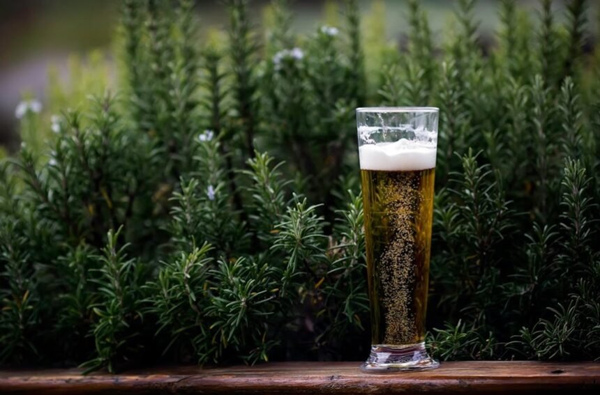Which Ingredient in Beer Adds the Most Flavour?