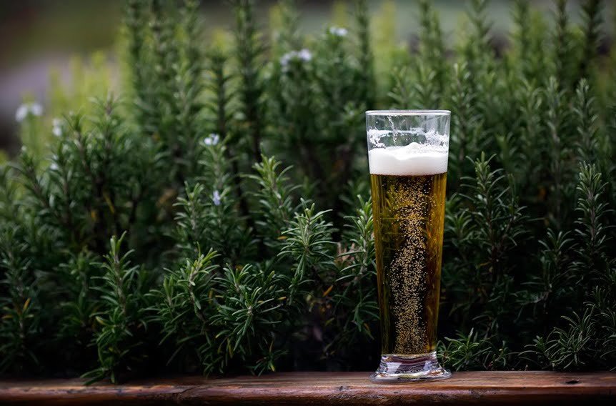 Which Ingredient in Beer Adds the Most Flavour?