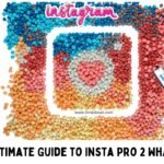 insta pro 2
