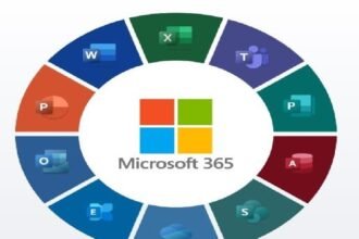 Reasons Why You Need To Know the Different Microsoft Office Products as a Professional