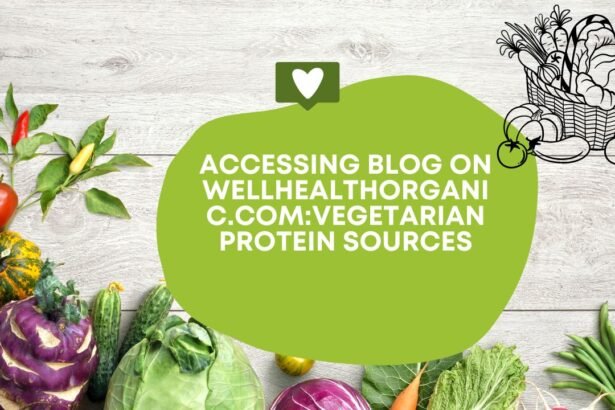 wellhealthorganic.com:vegetarian protein sources