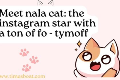 meet nala cat: the instagram star with a ton of fo - tymoff