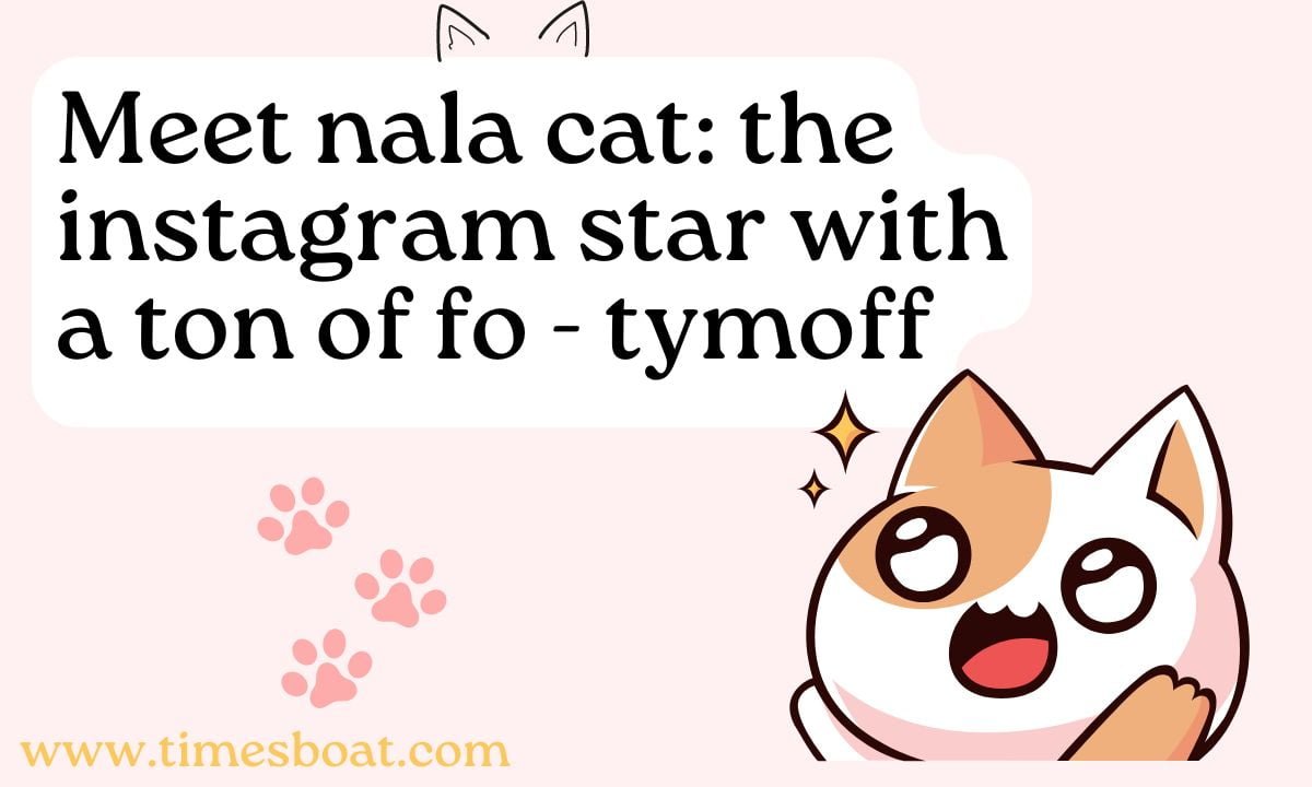 meet nala cat: the instagram star with a ton of fo - tymoff