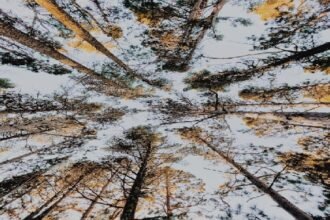 The Importance of Routine Maintenance for Swim Spas in Livonia