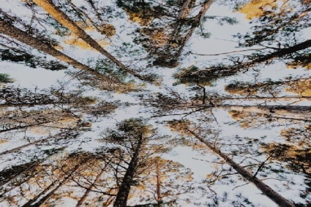 The Importance of Routine Maintenance for Swim Spas in Livonia